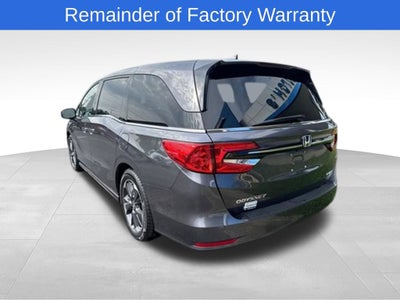2024 Honda Odyssey Elite