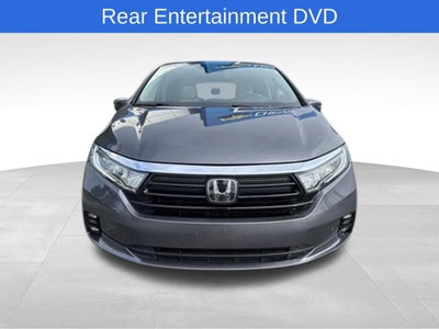 2024 Honda Odyssey Elite