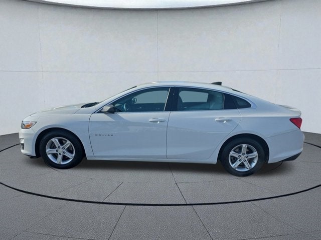 2019 Chevrolet Malibu LS 1LS